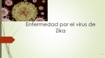 Charla Zika español slección 1