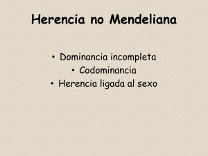 HERENCIA LIGADA AL SEXO 3. Herencia ligada a Y