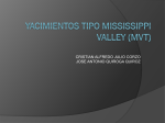 YACIMIENTOS TIPO Mississippi valleY (mvt)