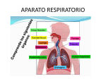 aparato respiratorio - ies emperador carlos