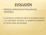 EVOLUCIÓN