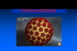 papovaviridae