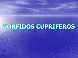 PORFIDOS CUPRIFEROS