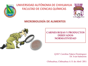 carnes rojas y productos derivados - FCQ