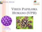 PAPILOMA VIRUS (VPH) - U