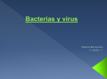 Bacterias y virus