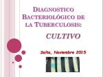 Diagnostico Bacteriológico de la Tuberculosis