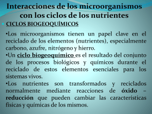 CICLOS BIOGEOQCOS I