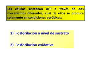Diapositiva 1 - quimicabiologicaunsl