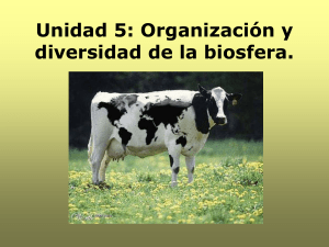 Organización y diversidad de la biosfera.