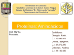 Proteínas: Aminoacidos