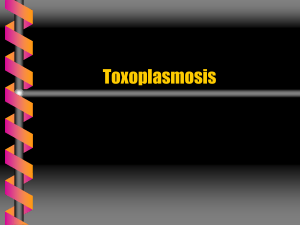 Toxoplasmosis - microbiologiaunvime