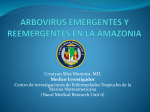 otros arbovirus no dengue en la amazonia peruana