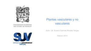 Act. 2.2 Plantas vasculares y no vasculares
