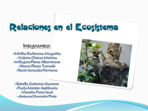 biogeoquimica - Check It Out!