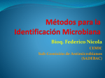 Métodos para la Identificación Microbiana Bioq. Federico Nicola