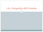 1.5.1 IRRIGACION DEL CORAZON