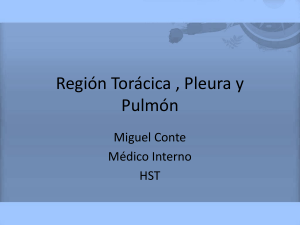 Región Torácica , Pleura y Pulmon