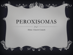 peroxisomas-monicachavarro-101008161922