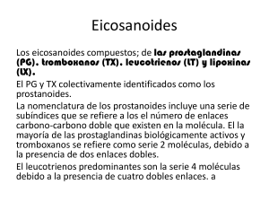 El Metabolismo de los Eicosanoides