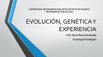EVOLUCIÓN, GENÉTICA Y EXPERIENCIA