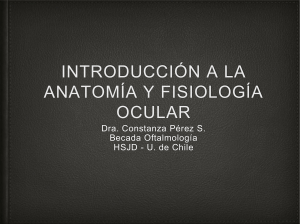 Introducción a la anatomía y fisiología ocular