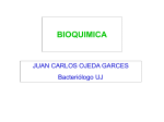 Fundamentos de Bioquimica Archivo