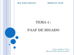 tema 4 : paaf de higado ies. ilipa magna modulo: paaf