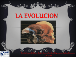 LA EVOLUCION Por: Sebastian Stolkiner