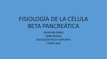 fisiologia de la celula beta pancreatica