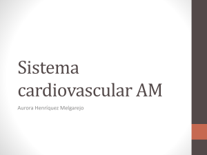 cardiovascular AM - IHMC Public Cmaps