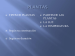 plantas - COLORESPACIO-GA2011-2