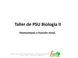 Taller de PSU Biología II