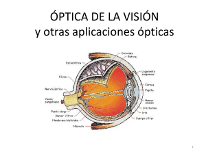 óptica de la visión - Colegio Miguel de Cervantes, Punta Arenas.