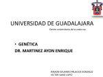 UNIVERSIDAD DE GUADALAJARA