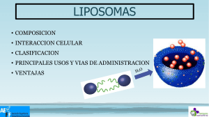 Liposomas