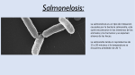 Salmonelosis - WordPress.com