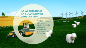 presentación de diapositivas