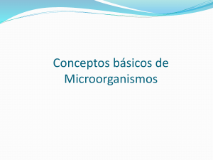 Conceptos básicos de Microorganismos - FCQ