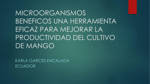 microorganismos beneficos una herramienta eficaz para mejorar la