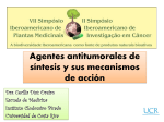 Agentes anticáncer de síntesis y sus mecanismos