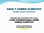 Slide 1 - Cámara de Comercio de Lima
