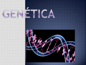 Genética