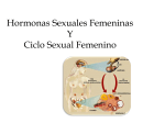 hormonas sex y ciclo sex fem