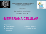 Menbrana celular