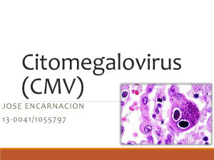 Citomegalovirus (CMV)