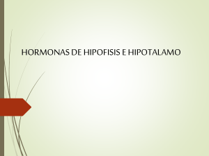 Hormonas de la Hipófisis e Hipotálamo