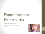 Exantemas por Enterovirus