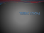 TEJIDO SOCIAL