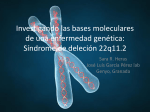 Investigando las bases moleculares de una enfermedad genetica